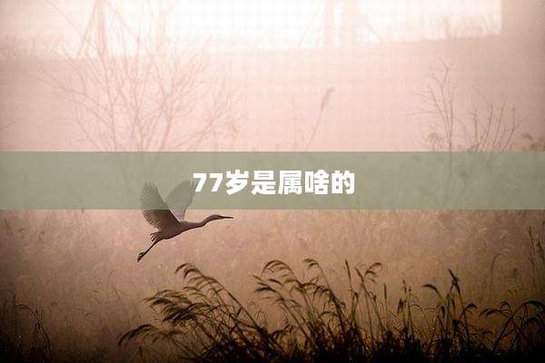 77岁是属啥的