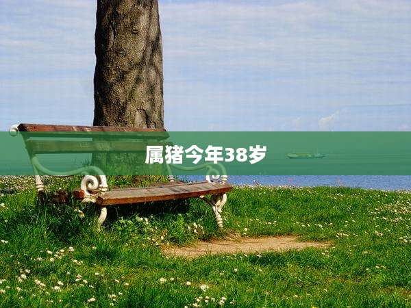 属猪今年38岁