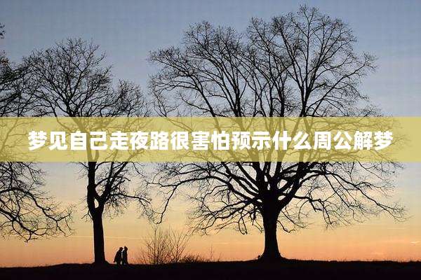 梦见自己走夜路很害怕预示什么周公解梦