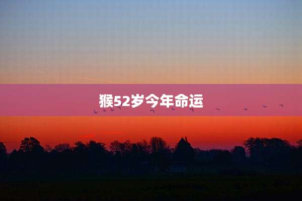 猴52岁今年命运