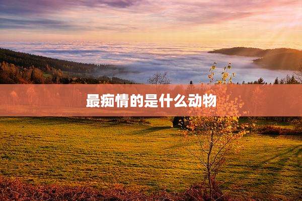 最痴情的是什么动物
