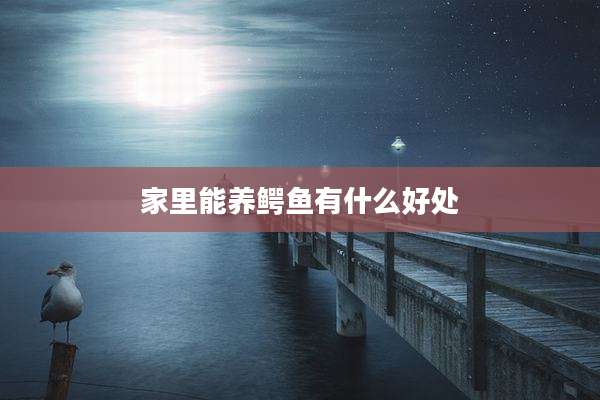 家里能养鳄鱼有什么好处