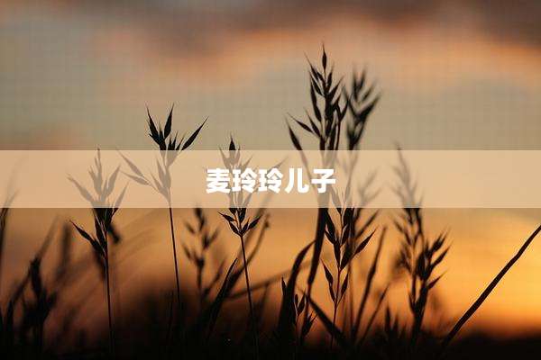 麦玲玲儿子