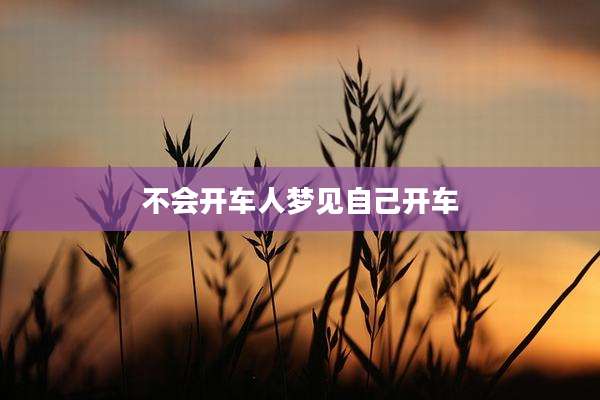 不会开车人梦见自己开车