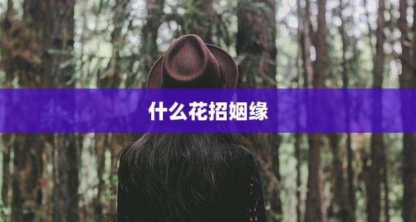 什么花招姻缘
