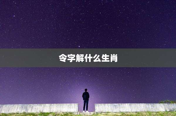 令字解什么生肖