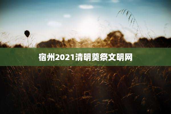 宿州2021清明奠祭文明网