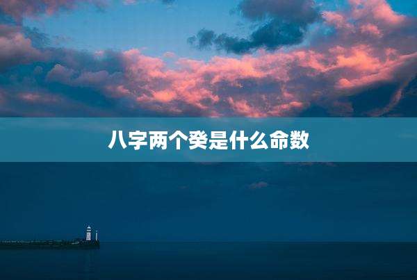 八字两个癸是什么命数