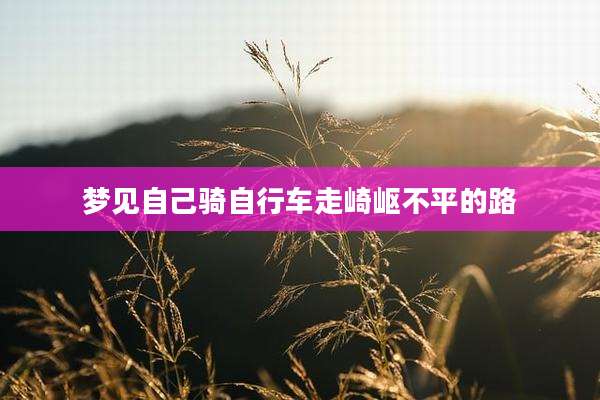 梦见自己骑自行车走崎岖不平的路