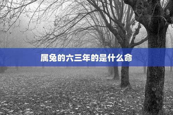 属兔的六三年的是什么命