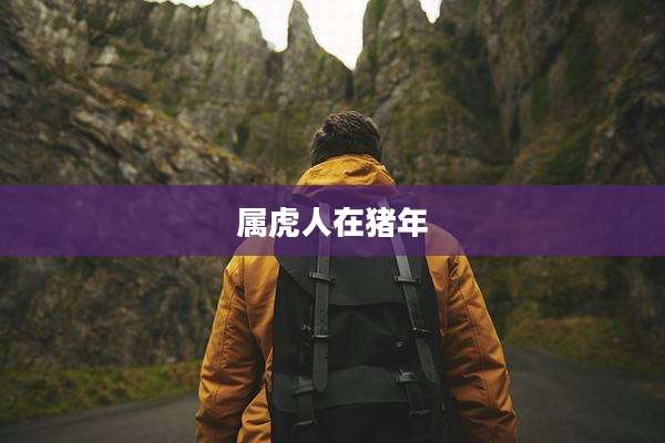 属虎人在猪年