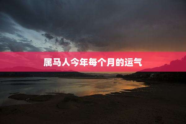 属马人今年每个月的运气