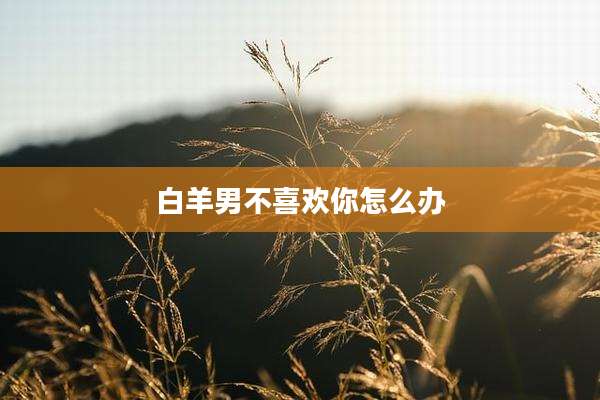 白羊男不喜欢你怎么办