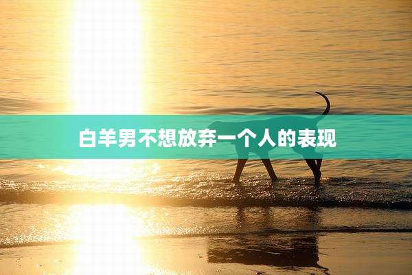 白羊男不想放弃一个人的表现