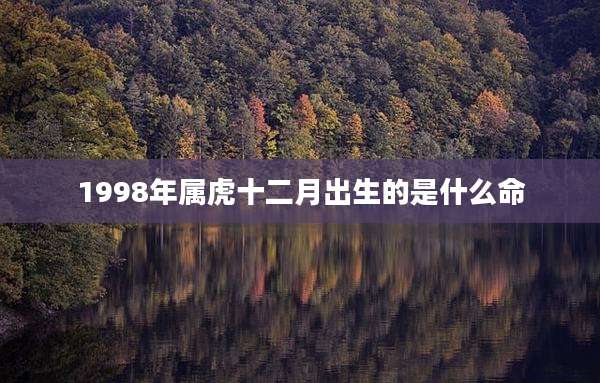 1998年属虎十二月出生的是什么命