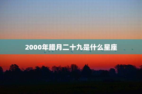 2000年腊月二十九是什么星座