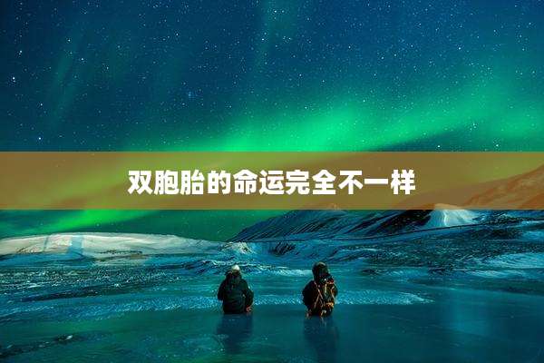 双胞胎的命运完全不一样