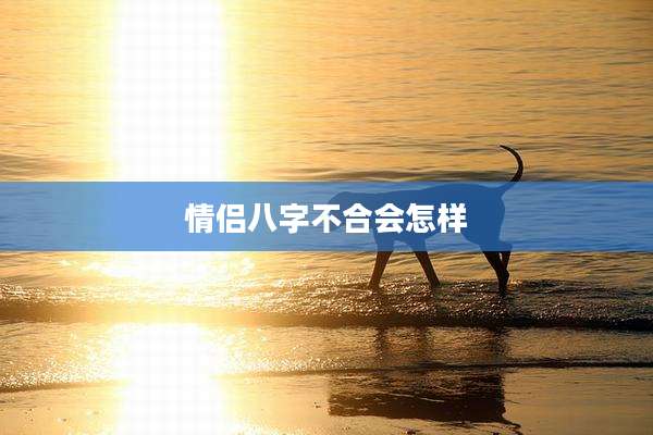 情侣八字不合会怎样