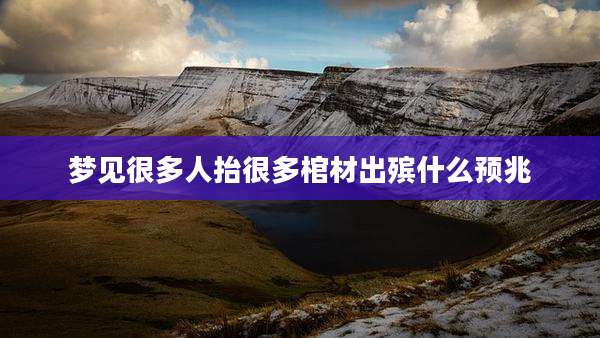 梦见很多人抬很多棺材出殡什么预兆