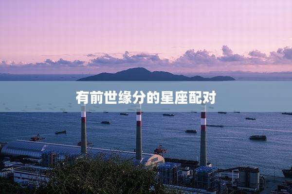 有前世缘分的星座配对