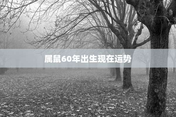 属鼠60年出生现在运势
