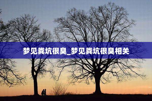 梦见粪坑很臭_梦见粪坑很臭相关
