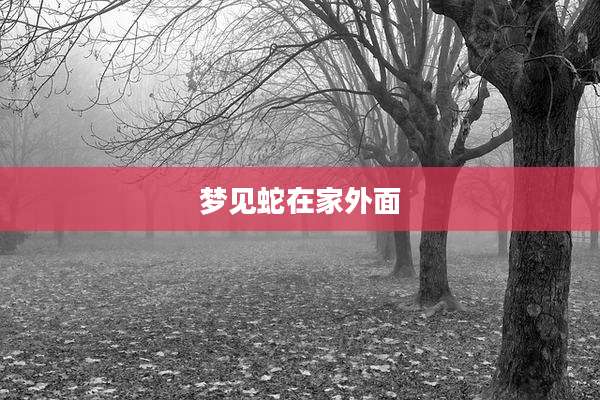 梦见蛇在家外面