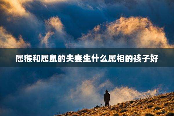 属猴和属鼠的夫妻生什么属相的孩子好