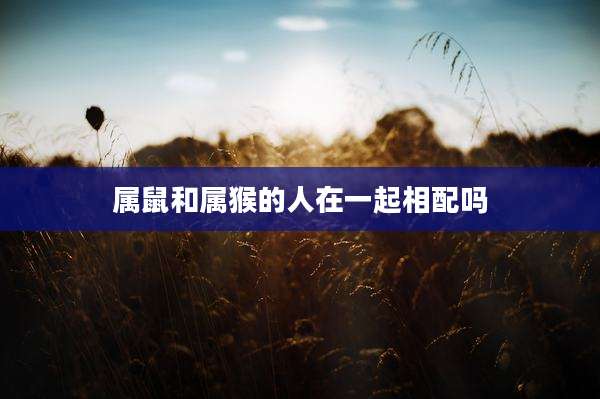 属鼠和属猴的人在一起相配吗