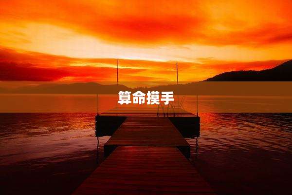 算命摸手