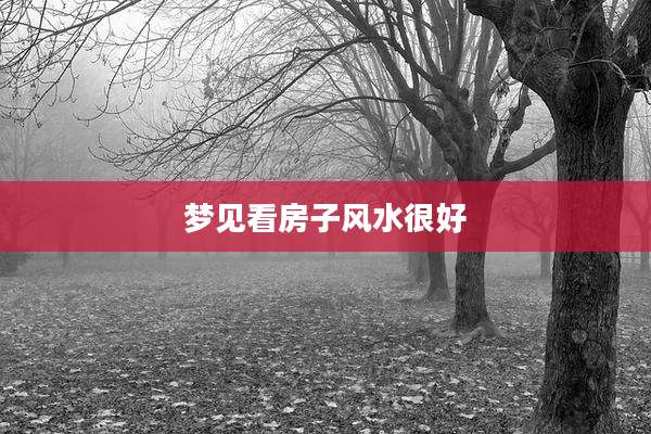 梦见看房子风水很好
