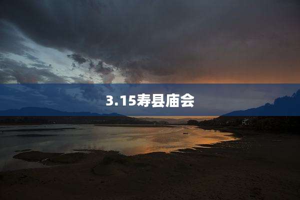 3.15寿县庙会
