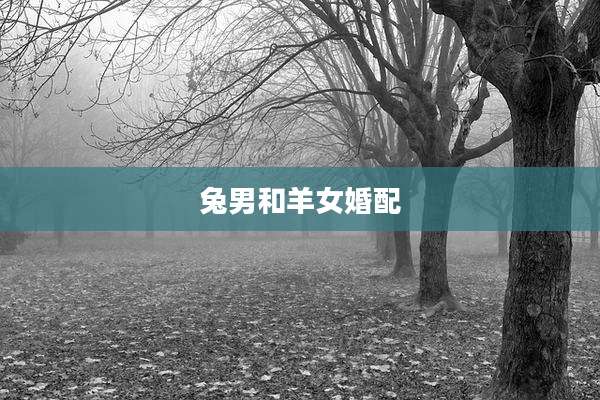 兔男和羊女婚配