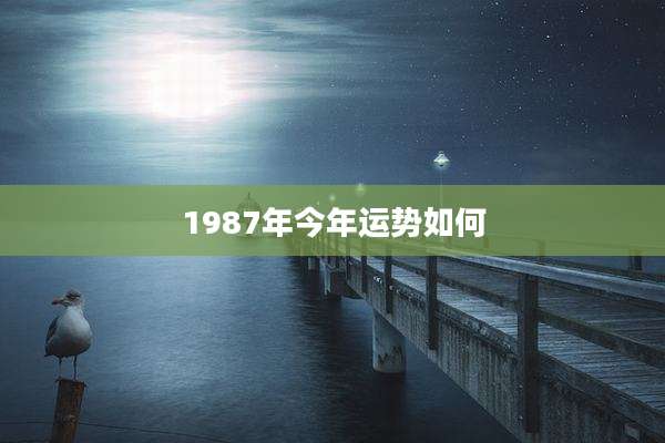 1987年今年运势如何