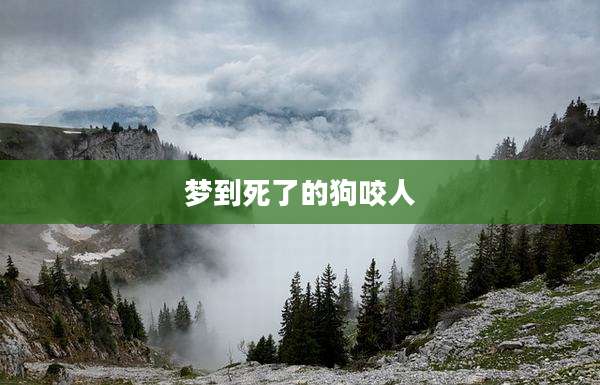 梦到死了的狗咬人