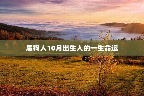 属狗人10月出生人的一生命运
