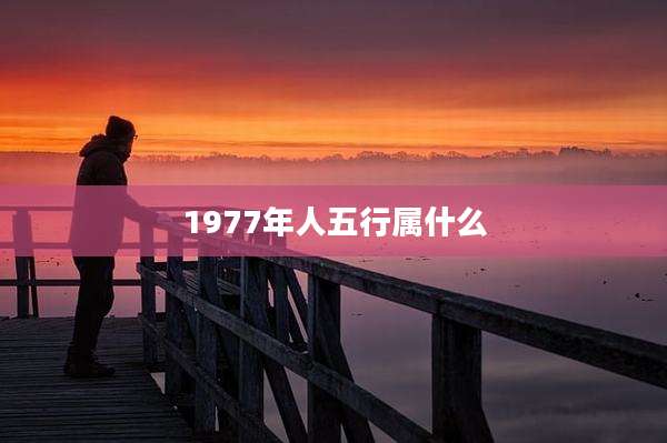 1977年人五行属什么