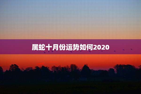 属蛇十月份运势如何2020