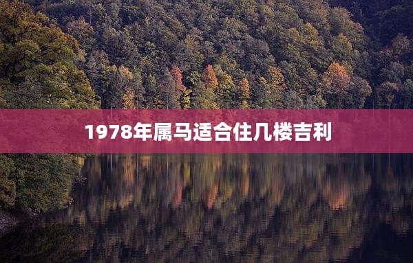 1978年属马适合住几楼吉利