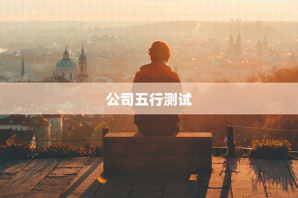 公司五行测试