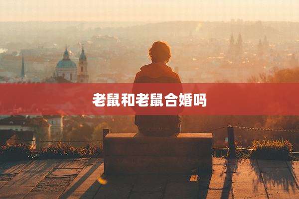 老鼠和老鼠合婚吗