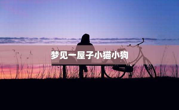梦见一屋子小猫小狗