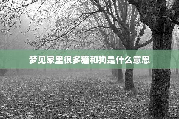 梦见家里很多猫和狗是什么意思