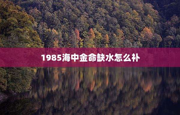 1985海中金命缺水怎么补