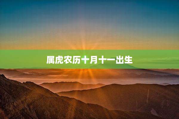 属虎农历十月十一出生