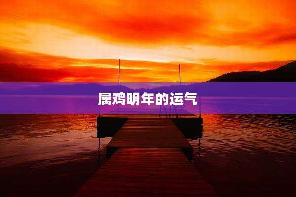 属鸡明年的运气