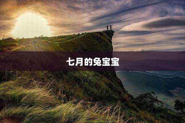 七月的兔宝宝