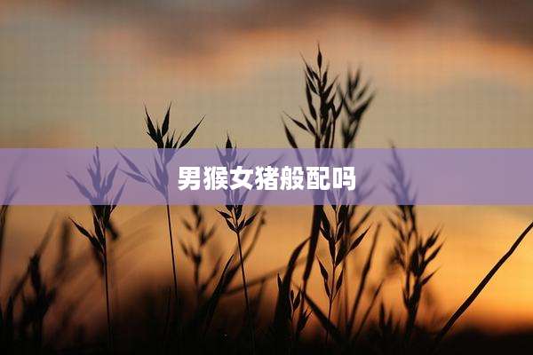 男猴女猪般配吗