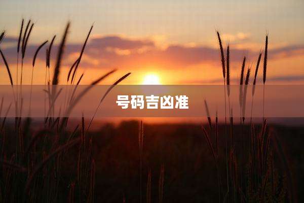 号码吉凶准