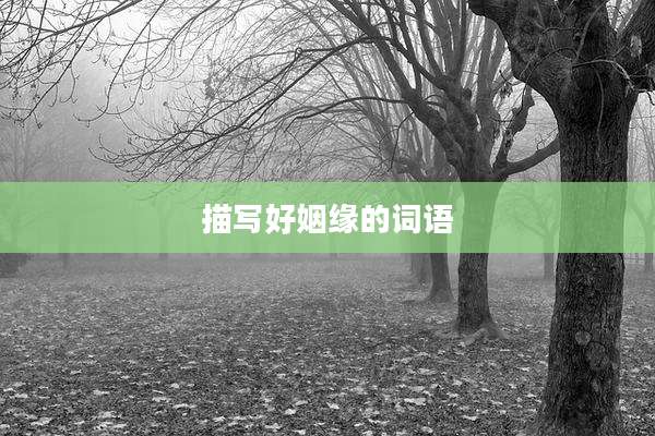 描写好姻缘的词语